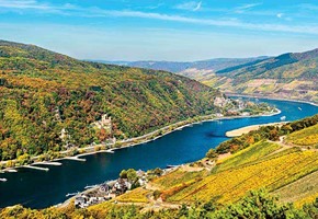 Rhine Gorge