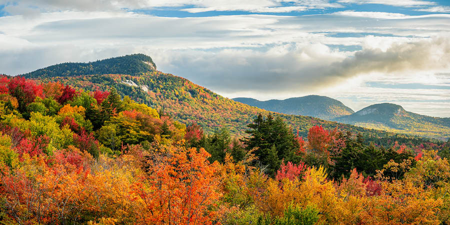 Experiencing the radiant autumn colours of the White Mountains